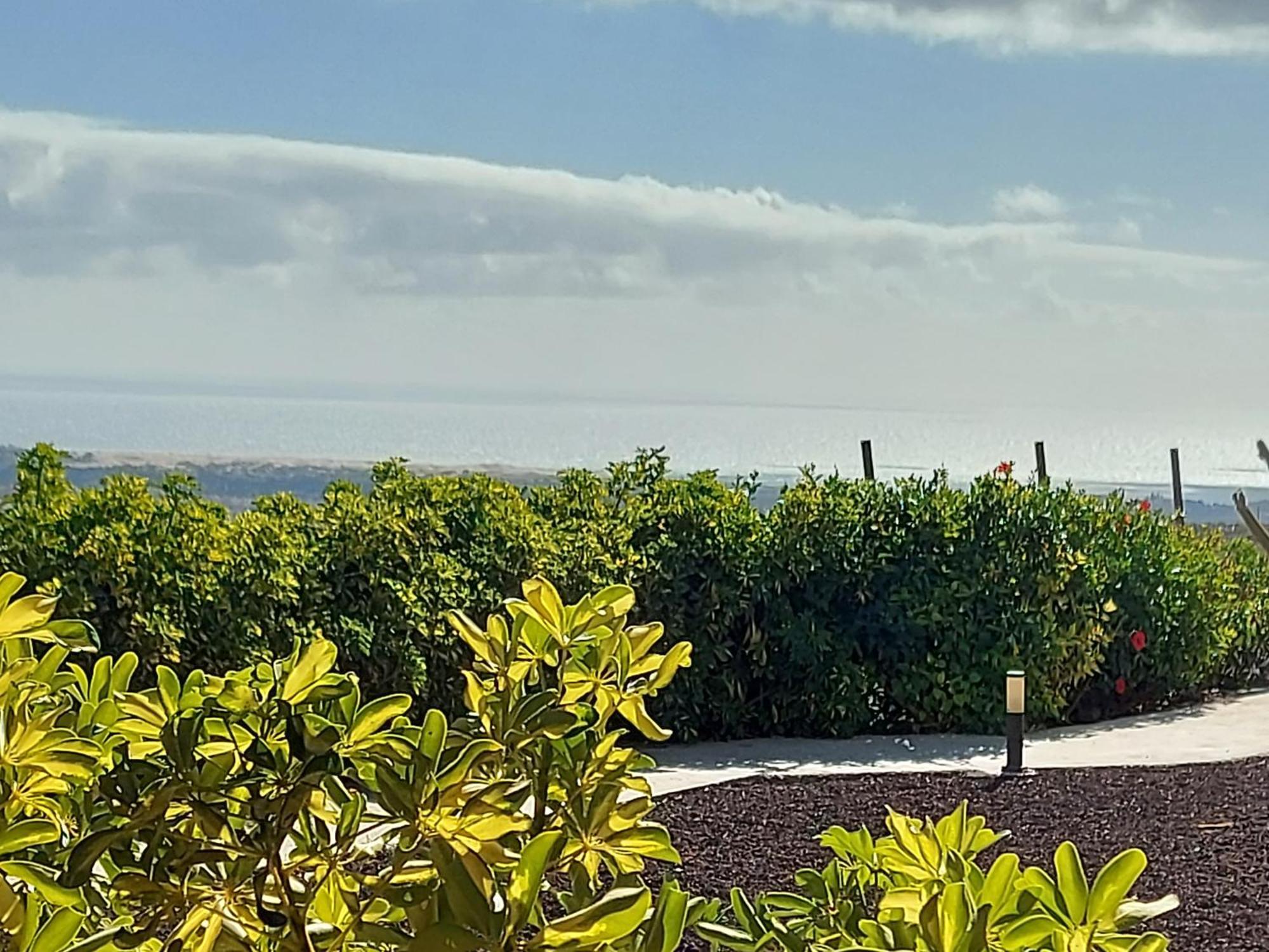ماسبالوماس The Black Horse Canarias - Adults Only الغرفة الصورة