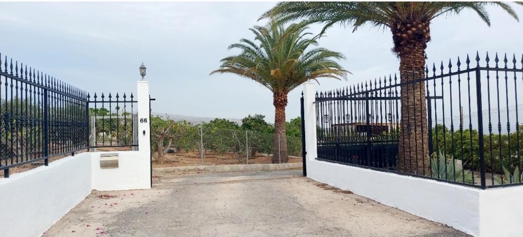 ماسبالوماس The Black Horse Canarias - Adults Only الغرفة الصورة